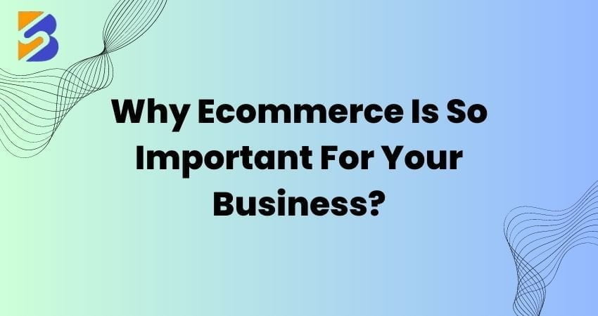 Ecommerce Is Important For Business